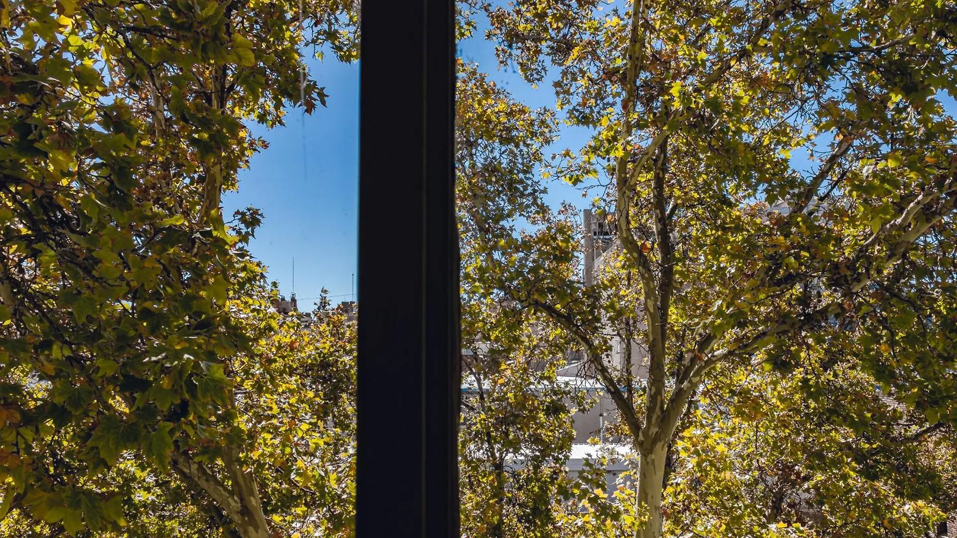 Monte Suite Mendoza Apartment